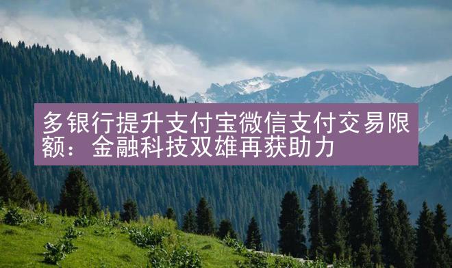 多银行提升支付宝微信支付交易限额：金融科技双雄再获助力