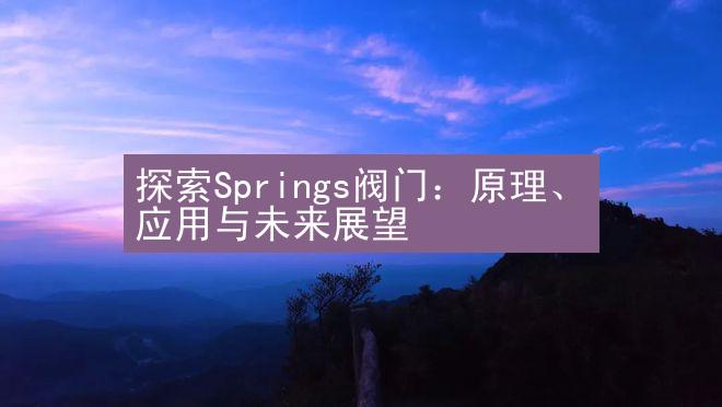 探索Springs阀门：原理、应用与未来展望