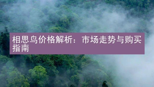 相思鸟价格解析：市场走势与购买指南