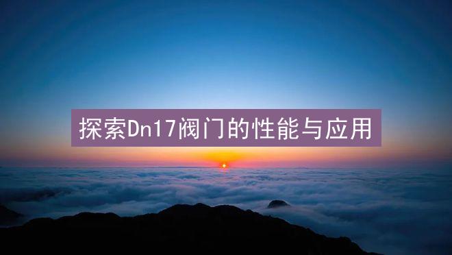 探索Dn17阀门的性能与应用