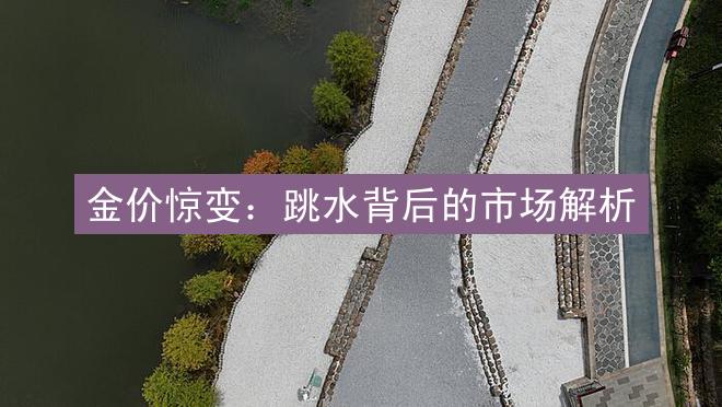 金价惊变：跳水背后的市场解析