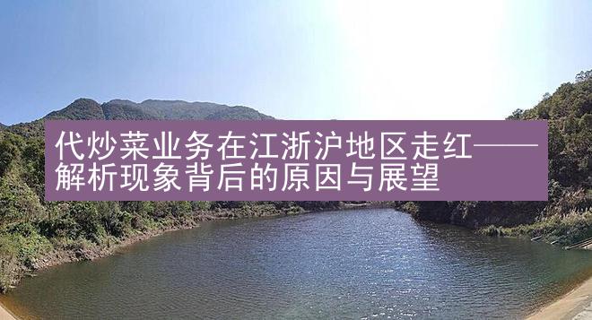 代炒菜业务在江浙沪地区走红——解析现象背后的原因与展望