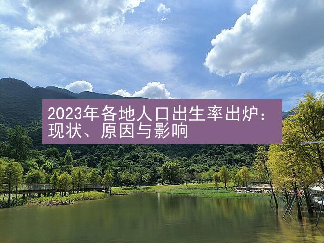 2023年各地人口出生率出炉：现状、原因与影响