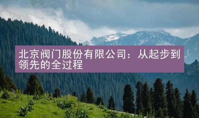 北京阀门股份有限公司：从起步到领先的全过程