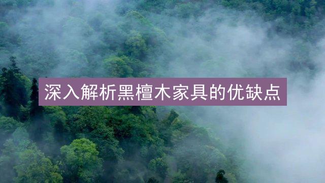 深入解析黑檀木家具的优缺点