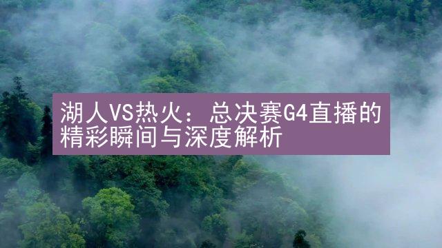 湖人VS热火：总决赛G4直播的精彩瞬间与深度解析