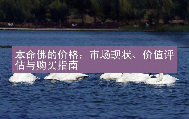 本命佛的价格：市场现状、价值评估与购买指南