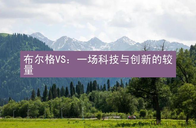 布尔格VS：一场科技与创新的较量