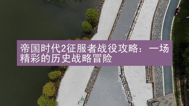 帝国时代2征服者战役攻略：一场精彩的历史战略冒险