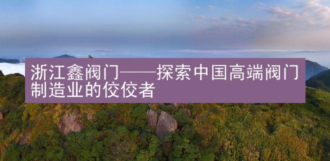 浙江鑫阀门——探索中国高端阀门制造业的佼佼者