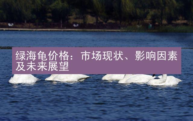 绿海龟价格：市场现状、影响因素及未来展望