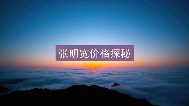 张明宽价格探秘